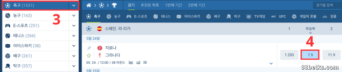 2단계: 스포츠 베팅 홀 선택