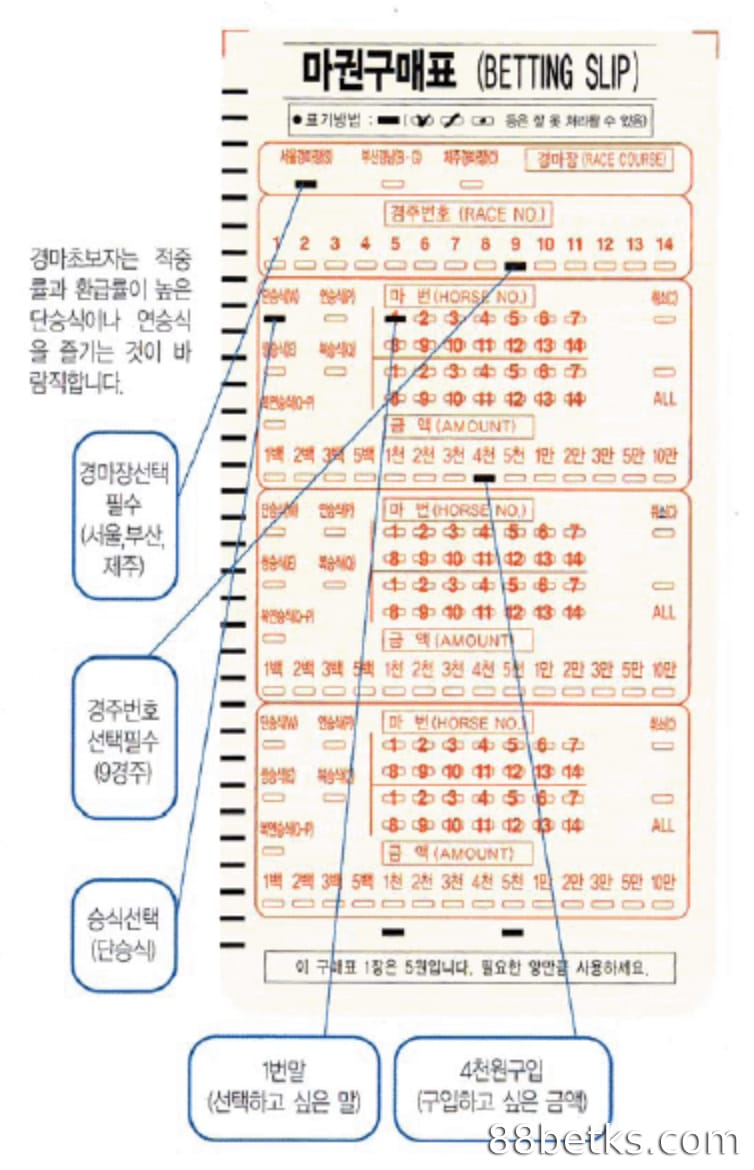 실제 베팅 티켓을 통해 경마 배당률을 읽는 방법