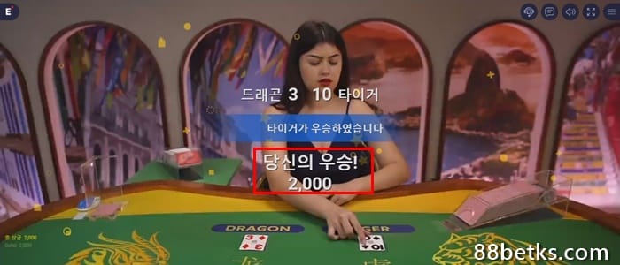 카드 나누기 규칙